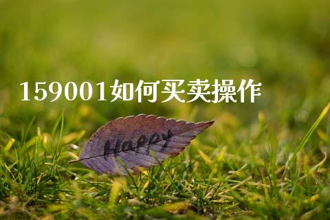 159001如何买卖操作_https://www.qmgjg.com_香港恒生指数_第1张