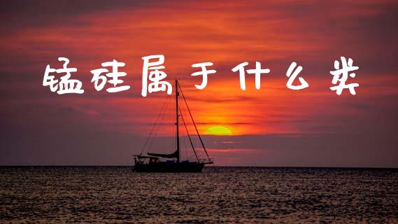 锰硅属于什么类_https://www.qmgjg.com_香港恒生指数_第1张