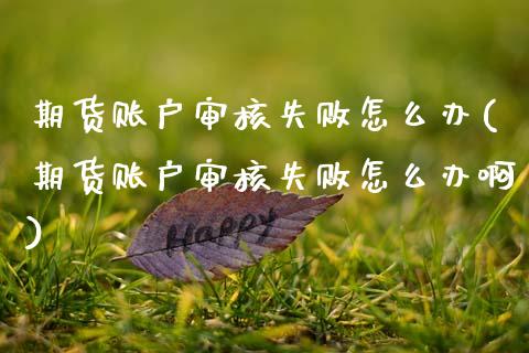期货账户审核失败怎么办(期货账户审核失败怎么办啊)_https://www.qmgjg.com_港股恒生指数_第1张