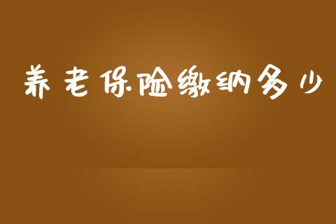养老保险缴纳多少_https://www.qmgjg.com_恒生指数是什么_第1张