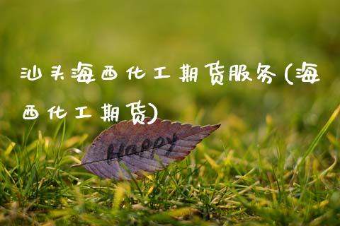 汕头海西化工期货服务(海西化工期货)_https://www.qmgjg.com_恒生指数期货_第1张