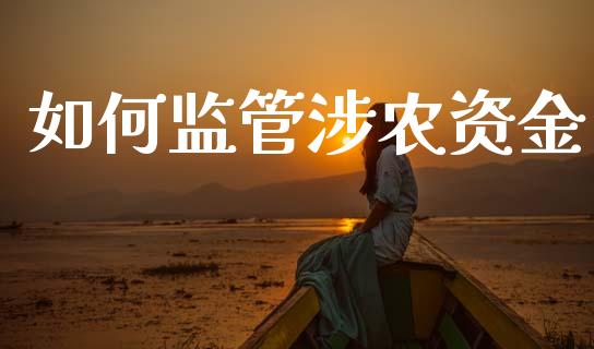如何监管涉农资金_https://www.qmgjg.com_香港恒生指数_第1张