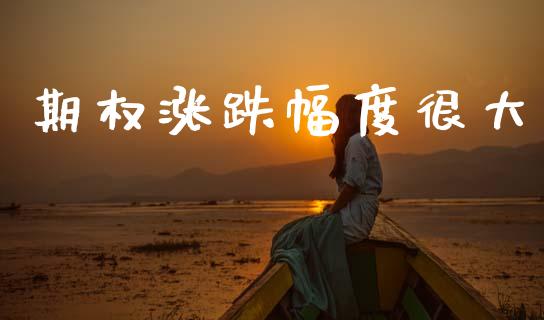 期权涨跌幅度很大_https://www.qmgjg.com_恒生指数是什么_第1张