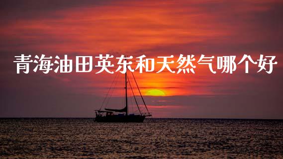 青海油田英东和天然气哪个好_https://www.qmgjg.com_恒生指数期货_第1张