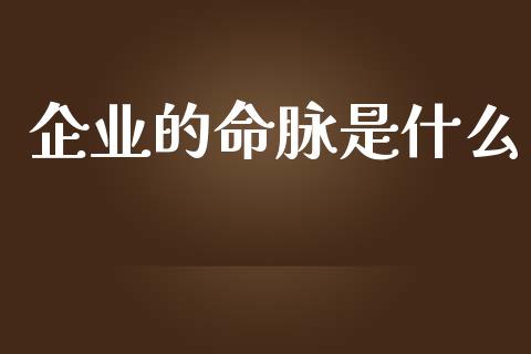 企业的命脉是什么_https://www.qmgjg.com_港股恒生指数_第1张