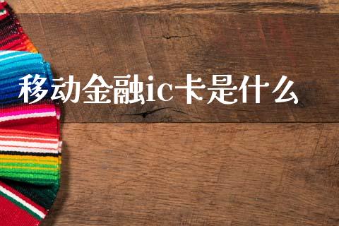 移动金融ic卡是什么_https://www.qmgjg.com_恒生指数是什么_第1张