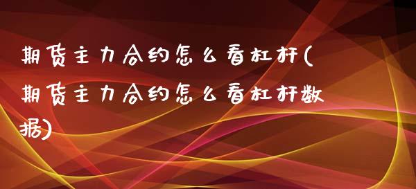 期货主力合约怎么看杠杆(期货主力合约怎么看杠杆数据)_https://www.qmgjg.com_香港恒生指数_第1张