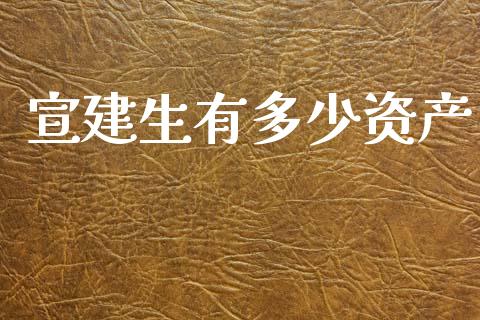 宣建生有多少资产_https://www.qmgjg.com_恒生指数是什么_第1张
