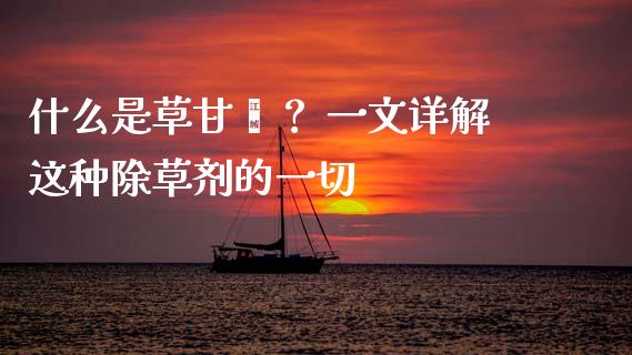 什么是草甘膦? 一文详解这种除草剂的一切_港股恒生指数_第1张_香港恒生指数_恒生指数期货_港股恒生指数_恒生指数是什么 什么是草甘膦? 一文详解这种除草剂的一切_https://www.qmgjg.com_港股恒生指数_第1张
