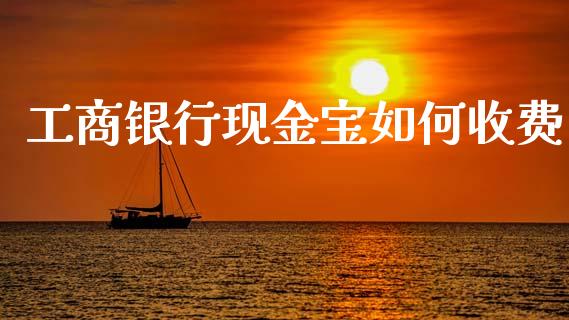 工商银行现金宝如何收费_https://www.qmgjg.com_恒生指数期货_第1张