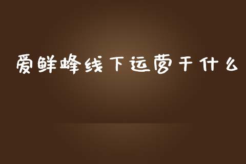 爱鲜蜂线下运营干什么_https://www.qmgjg.com_港股恒生指数_第1张