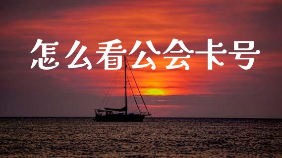 怎么看公会卡号_https://www.qmgjg.com_恒生指数期货_第1张