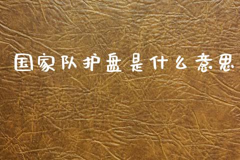 国家队护盘是什么意思_https://www.qmgjg.com_恒生指数期货_第1张