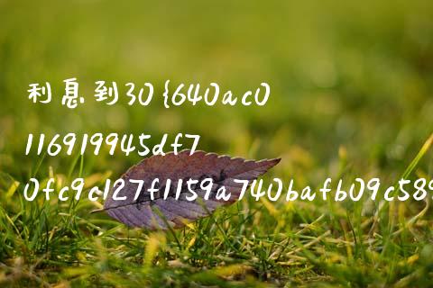 利息到30%的有哪些_https://www.qmgjg.com_恒生指数期货_第1张