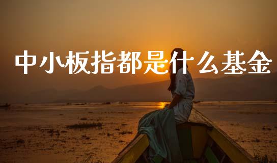 中小板指都是什么基金_https://www.qmgjg.com_香港恒生指数_第1张