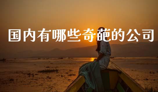 国内有哪些奇葩的公司_https://www.qmgjg.com_香港恒生指数_第1张