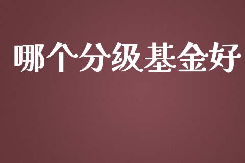 哪个分级基金好_https://www.qmgjg.com_香港恒生指数_第1张