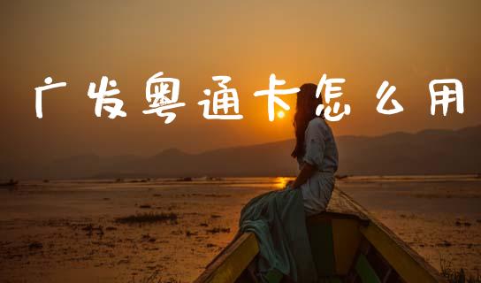 广发粤通卡怎么用_https://www.qmgjg.com_恒生指数是什么_第1张