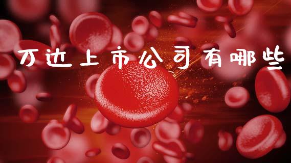 万达上市公司有哪些_https://www.qmgjg.com_恒生指数是什么_第1张