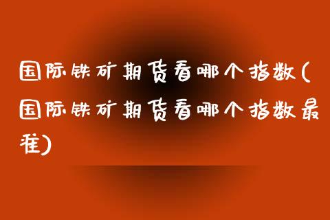国际铁矿期货看哪个指数(国际铁矿期货看哪个指数最准)_https://www.qmgjg.com_恒生指数期货_第1张
