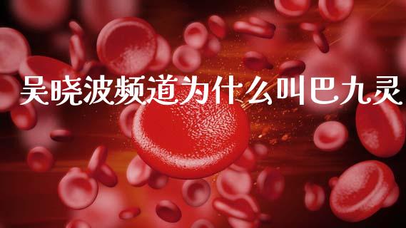 吴晓波频道为什么叫巴九灵_https://www.qmgjg.com_恒生指数是什么_第1张