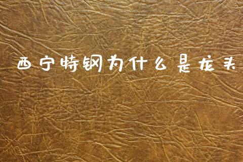 西宁特钢为什么是龙头_https://www.qmgjg.com_恒生指数期货_第1张