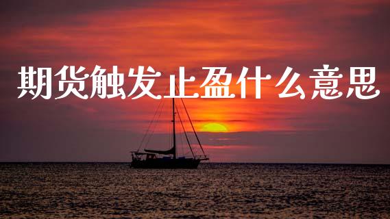期货触发止盈什么意思_https://www.qmgjg.com_恒生指数期货_第1张