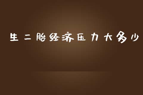 生二胎经济压力大多少_https://www.qmgjg.com_港股恒生指数_第1张