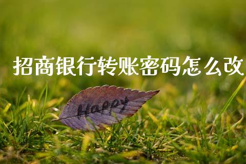 招商银行转账密码怎么改_https://www.qmgjg.com_香港恒生指数_第1张