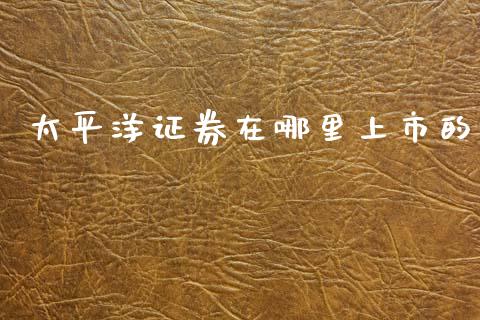 太平洋证券在哪里上市的_https://www.qmgjg.com_恒生指数期货_第1张