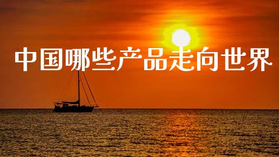 中国哪些产品走向世界_https://www.qmgjg.com_恒生指数期货_第1张