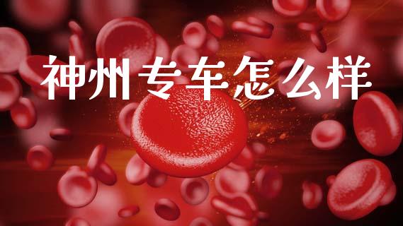 神州专车怎么样_https://www.qmgjg.com_港股恒生指数_第1张