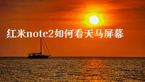 红米note2如何看天马屏幕_https://www.qmgjg.com_恒生指数期货_第1张