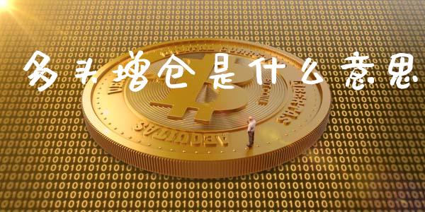 多头增仓是什么意思_https://www.qmgjg.com_港股恒生指数_第1张