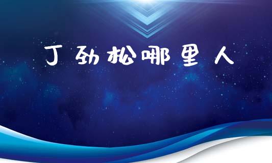 丁劲松哪里人_https://www.qmgjg.com_恒生指数是什么_第1张
