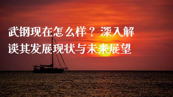 武钢现在怎么样？ 深入解读其发展现状与未来展望_https://www.qmgjg.com_恒生指数是什么_第1张