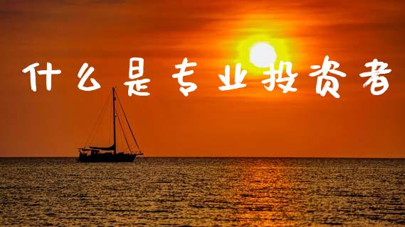 什么是专业投资者_https://www.qmgjg.com_恒生指数期货_第1张