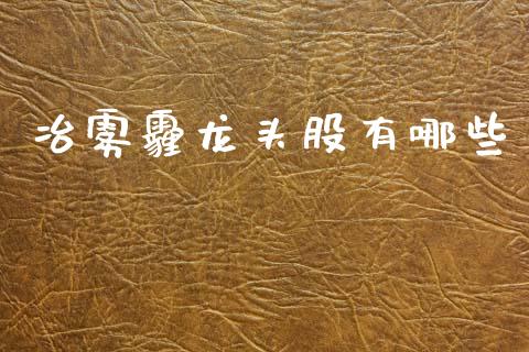冶雾霾龙头股有哪些_https://www.qmgjg.com_恒生指数是什么_第1张