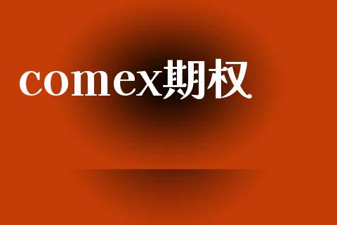 comex期权_https://www.qmgjg.com_港股恒生指数_第1张
