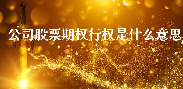 公司股票期权行权是什么意思_https://www.qmgjg.com_香港恒生指数_第1张
