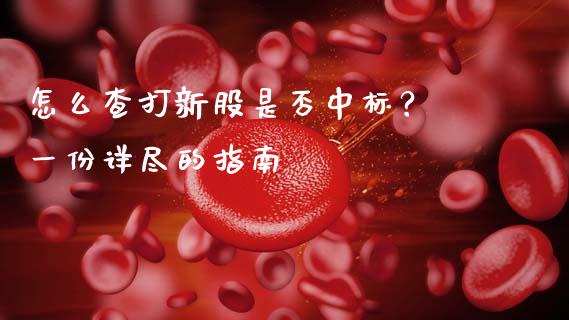 怎么查打新股是否中标？ 一份详尽的指南_https://www.qmgjg.com_港股恒生指数_第1张