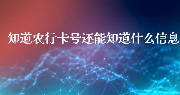 知道农行卡号还能知道什么信息_https://www.qmgjg.com_港股恒生指数_第1张