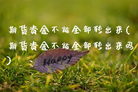 期货资金不能全部转出来(期货资金不能全部转出来吗)_https://www.qmgjg.com_香港恒生指数_第1张