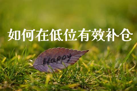 如何在低位有效补仓_https://www.qmgjg.com_恒生指数期货_第1张