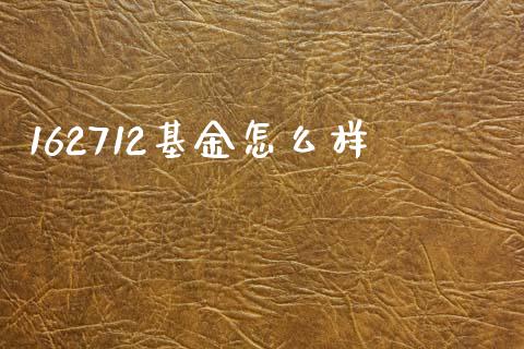 162712基金怎么样_https://www.qmgjg.com_恒生指数期货_第1张