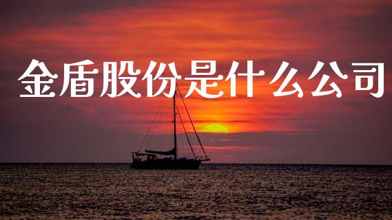 金盾股份是什么公司_https://www.qmgjg.com_香港恒生指数_第1张