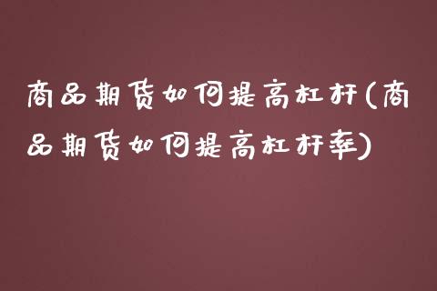 商品期货如何提高杠杆(商品期货如何提高杠杆率)_https://www.qmgjg.com_港股恒生指数_第1张