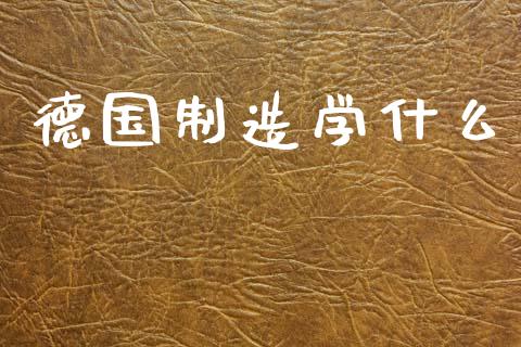 德国制造学什么_https://www.qmgjg.com_恒生指数是什么_第1张