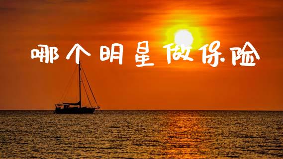 哪个明星做保险_https://www.qmgjg.com_恒生指数期货_第1张