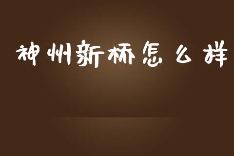 神州新桥怎么样_https://www.qmgjg.com_恒生指数期货_第1张